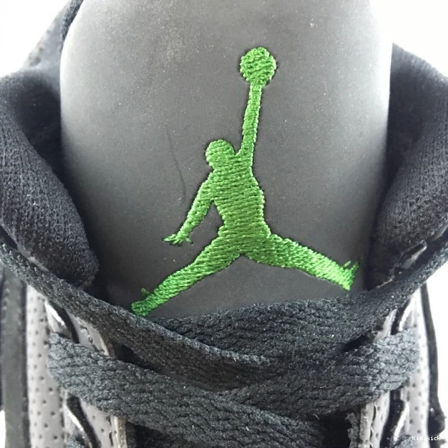 Duck Jordan Air AJ3- Retro 966 3 SportInspired Oregon 0603